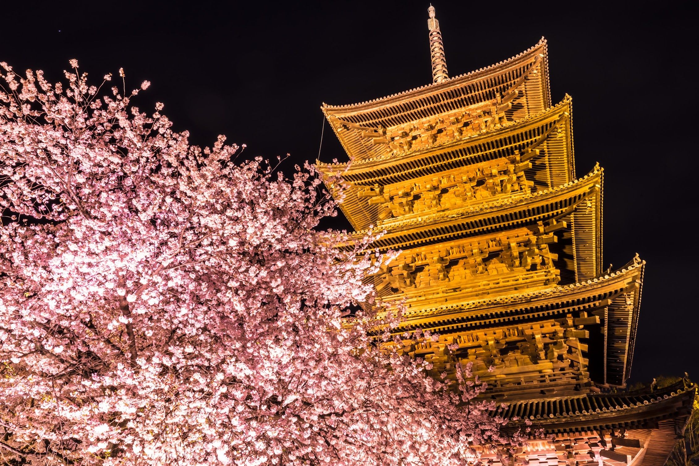 🏯 신주지(칸노지) 이미지 7